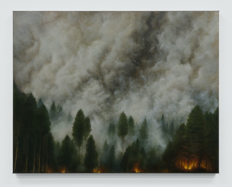 Antoine Roegiers , Les Foyers, 2025 , Keteleer Gallery