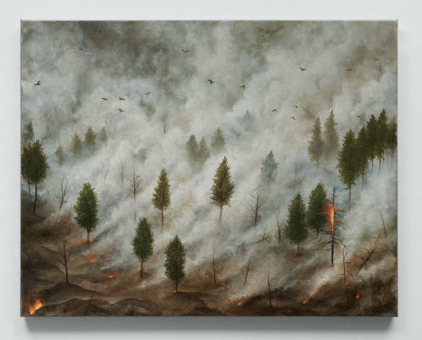 Antoine Roegiers, Les cendres, 2025 , Keteleer Gallery