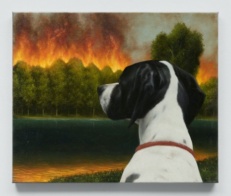 Antoine Roegiers, Le témoin silencieux, 2025 , Keteleer Gallery