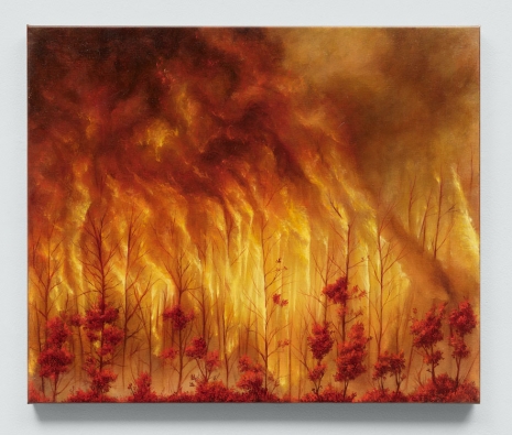 Antoine Roegiers, Rideau de feu, 2025 , Keteleer Gallery