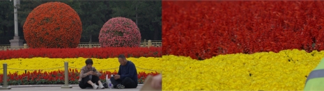 Yao Qingmei, Steel Garden, 2025 , ShanghART