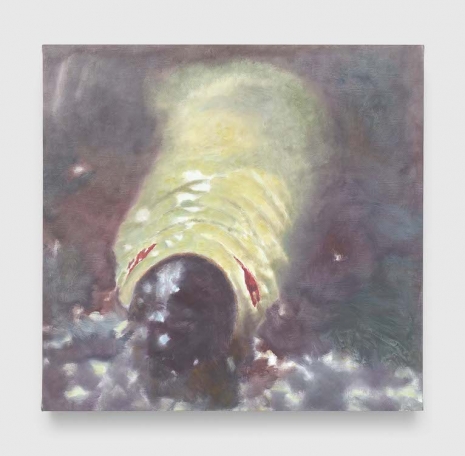 Luc Tuymans, The Maggot, 2025 , David Zwirner