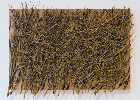 Günther Uecker, Dickicht, 2007 , The Mayor Gallery