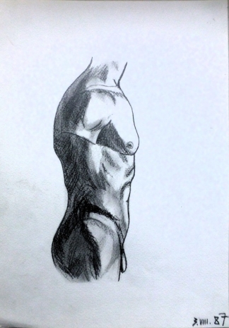 Elke Silvia Krystufek, Male Nude, 1987, Galerie Bernd Kugler