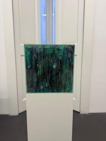 Agnieszka Kurant, Chemical Garden, 2021-2025 , Lia Rumma Gallery