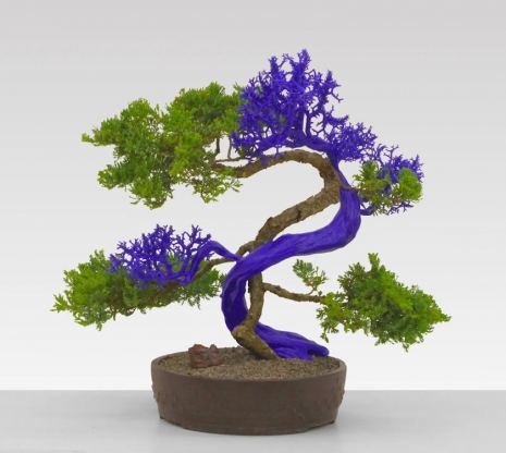 Agnieszka Kurant, Semiotic Life 2, 2025 , Lia Rumma Gallery