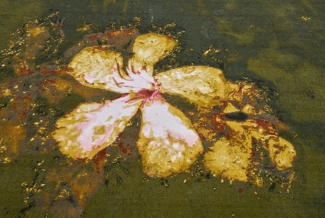 Stefano Arienti , Fiori di oleandro sull'acqua, 2025 , greengrassi