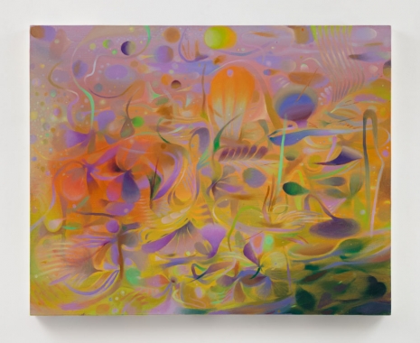 Nakhee Sung, Micro Jet Lag, 2025 , Lehmann Maupin