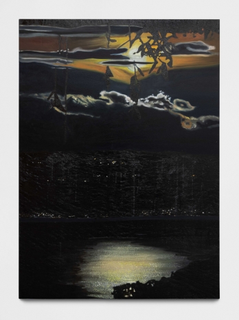 Manuel Chavajay, Untitled (hay días que se acercan las montañas y los volcanes), 2025 , Pedro Cera