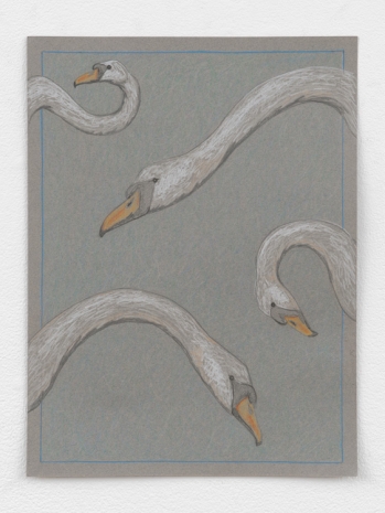 Stephanie Temma Hier, Swan Song II (study), 2025 , Anton Kern Gallery