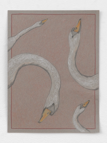 Stephanie Temma Hier, Swan song III (study), 2025 , Anton Kern Gallery