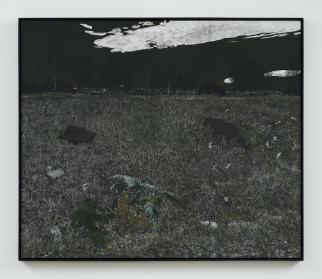 Cinga Samson, Tshee, 2026 , White Cube