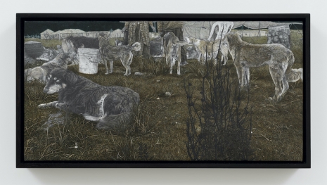 Cinga Samson, Intsingiselo II, 2026 , White Cube