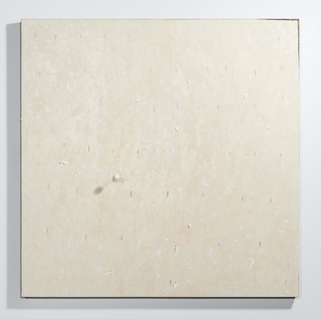 Pier Paolo Calzolari, Untitled #5, 2016 , Marianne Boesky Gallery