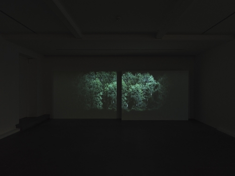 Rodney Graham, Edge of a Wood, 1999 , Lisson Gallery