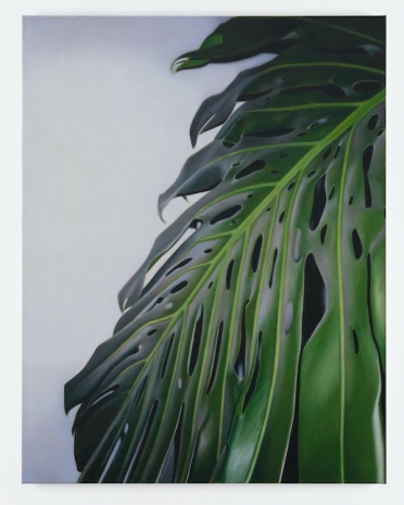 Marcel Vidal, Monstera IV, 2025, Kerlin Gallery