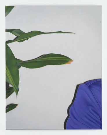 Marcel Vidal, Shoulder and plant, 2025, Kerlin Gallery