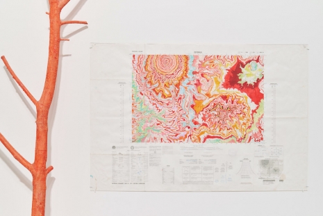 Kathy Prendergast, Red Vein, 2025 , Kerlin Gallery