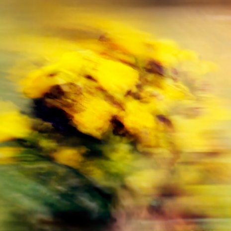 Jack Warne, Llewoy Soser, 2025 , Mai 36 Galerie