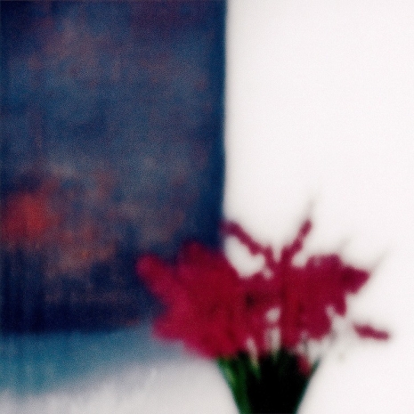 Jack Warne, Woolwersolf, 2025 , Mai 36 Galerie