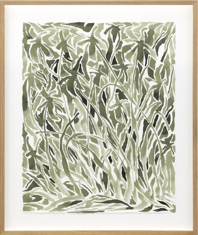 Saif Azzuz, Blind eyes (long headed poppy) 1, 2025, Lawrie Shabibi