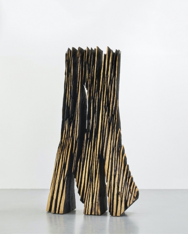 David Nash , Downpour, 2006 / 2020 , Galerie Lelong