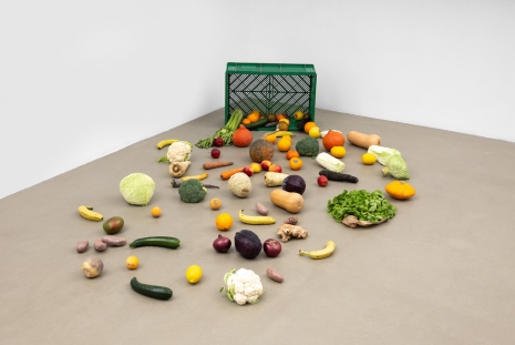 Nina Beier, Scheme, 2014, Galerie Chantal Crousel