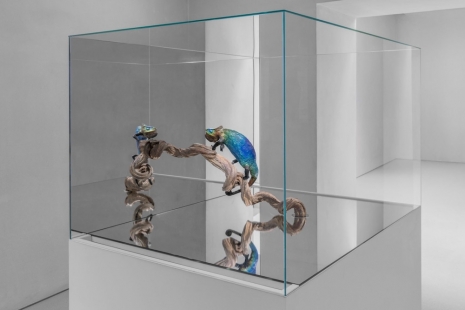 Agnieszka Kurant, Recursivity 1, 2024, Marian Goodman Gallery