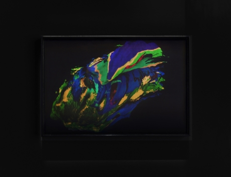 Agnieszka Kurant, Risk Landscape (Miami), 2026 , Marian Goodman Gallery