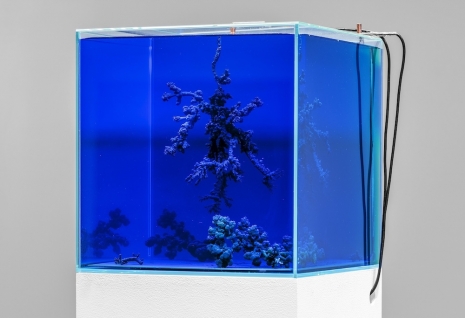 Agnieszka Kurant, Uncomputables, 2026 , Marian Goodman Gallery