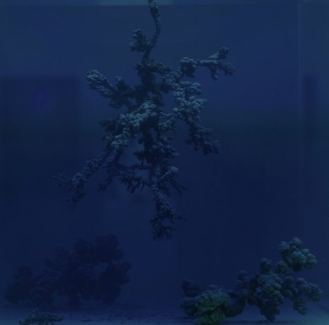 Agnieszka Kurant, Uncomputables, 2026 , Marian Goodman Gallery