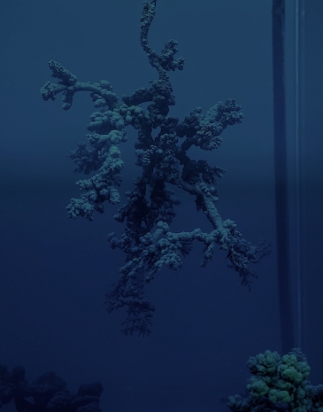 Agnieszka Kurant, Uncomputables, 2026 , Marian Goodman Gallery