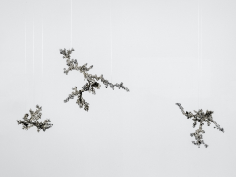 Agnieszka Kurant, Unthoughtforms, 2026, Marian Goodman Gallery