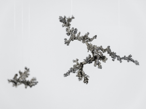 Agnieszka Kurant, Unthoughtforms, 2026 , Marian Goodman Gallery