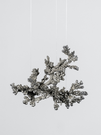 Agnieszka Kurant, Unthoughtforms, 2026 , Marian Goodman Gallery