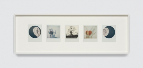 Tacita Dean, Between the Years (Stigmata), 2025-26 , Marian Goodman Gallery