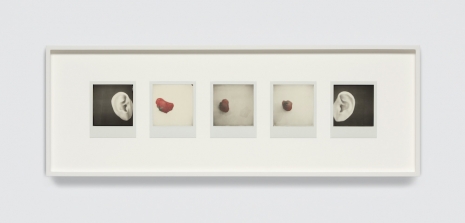 Tacita Dean, Between the Years (SPLAT, 2, 3), 2025-26 , Marian Goodman Gallery