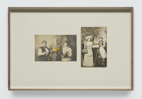 Tacita Dean, California - true and false, 2026, Marian Goodman Gallery