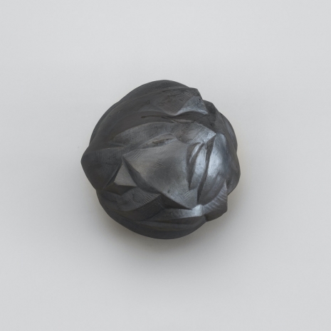 Sonia Leimer, Dust Buddy, 2026 , Galerie nächst St. Stephan Rosemarie Schwarzwälder