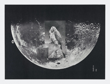 John Stezaker, Untitled, 2025, Galerie Gisela Capitain