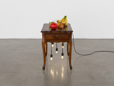 Yuko Mohri, Decomposition, 2026 , Tanya Bonakdar Gallery