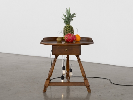 Yuko Mohri, Decomposition, 2026 , Tanya Bonakdar Gallery