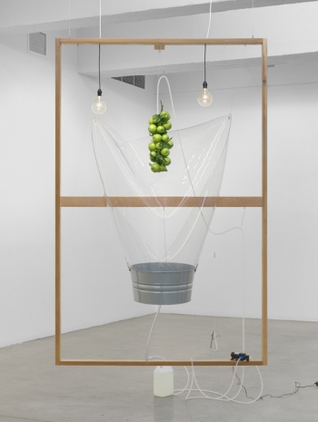 Yuko Mohri, Moré Moré (Leaky): Falling Water Given #9, 2026 , Tanya Bonakdar Gallery