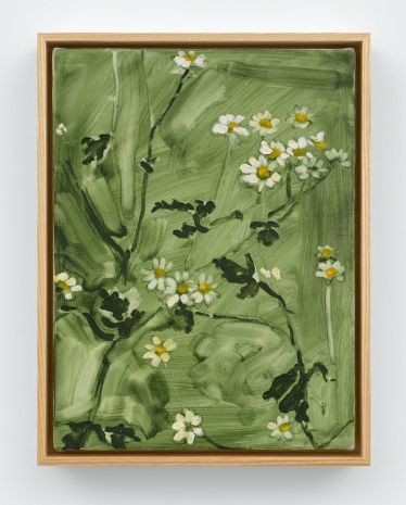 Jordan Casteel , Feverfew, 2025 , Casey Kaplan