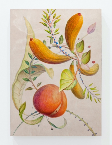 David Thorpe , A Sweet Gift in Reverie, 2015 , Casey Kaplan