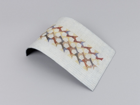 Kasper Bosmans, Red Carpet Crossing, 2025 , Gladstone Gallery