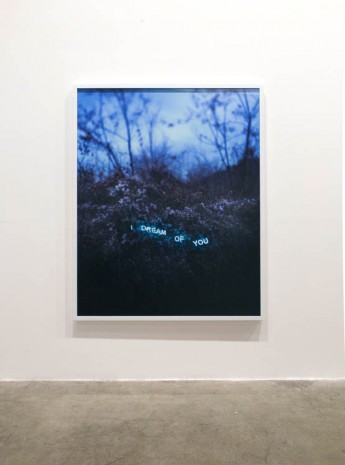 Jung Lee, I Dream Of You, 2012, Green Art Gallery