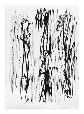 Simone Fattal, Drawing 9, 2025 , Greene Naftali