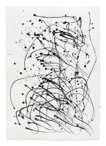 Simone Fattal, Drawing 10, 2025 , Greene Naftali