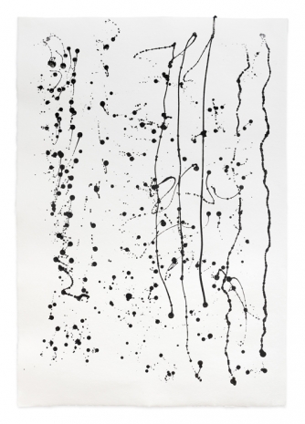 Simone Fattal, Drawing 5, 2025 , Greene Naftali